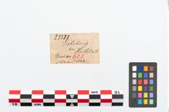 Etikett zu Bronzenadel (NHMW-PRAE-025588)